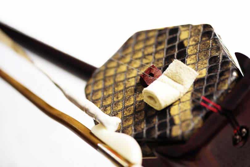 Chinese orchestra instrument Erhu